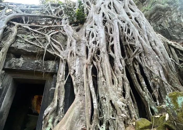 Decouvrez Angkors Wat Avec Un Guide Francophone A * Siem Reap